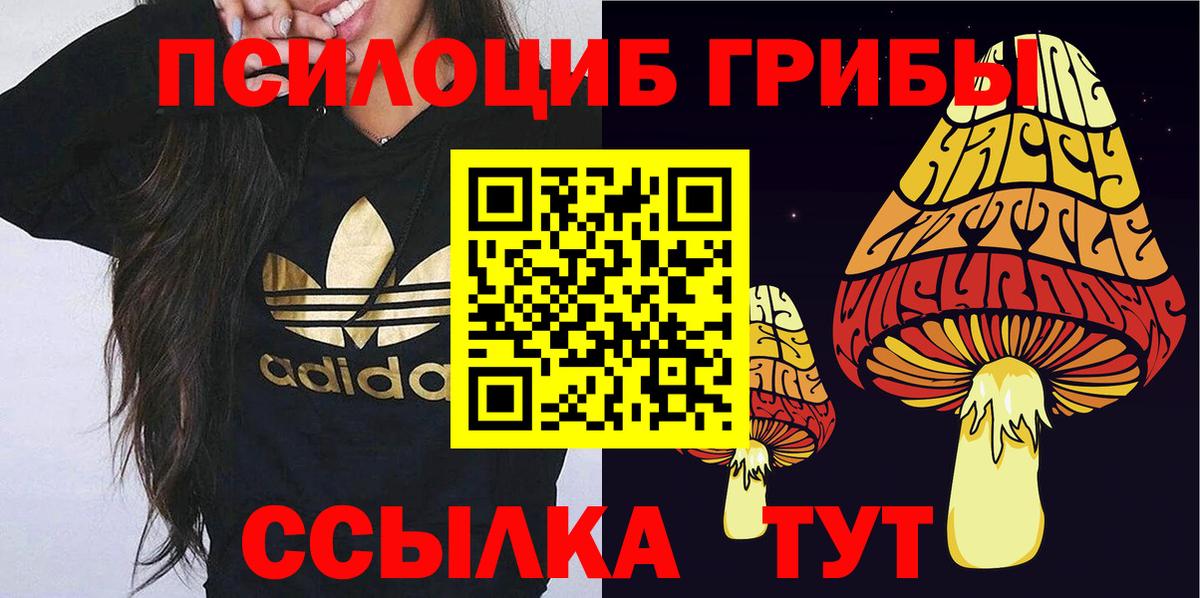 Советская Гавань  Галлюциногенные грибы мухоморы  Вход с VPN  Псилоцибиновые грибы Magic Shrooms 