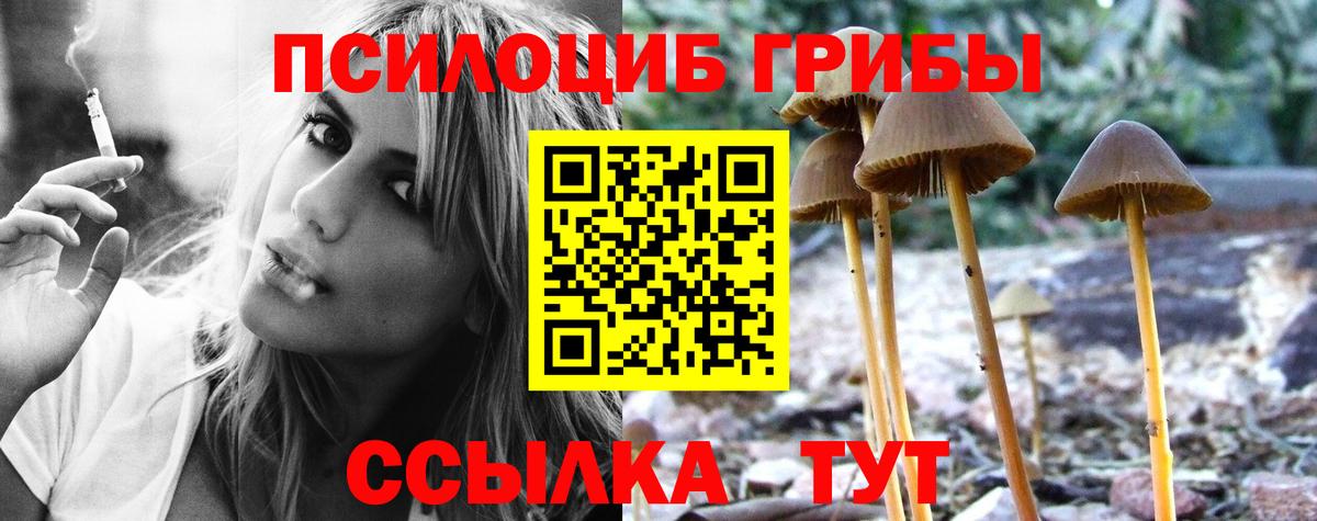 Галлюциногенные грибы Psilocybine cubensis Советская Гавань
