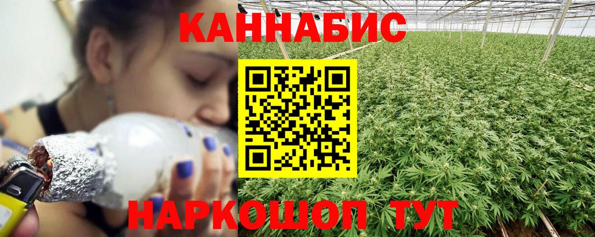 Каннабис OG Kush  Вход с VPN  Советская Гавань  Конопля Bruce Banner  Бошки марихуана сатива 